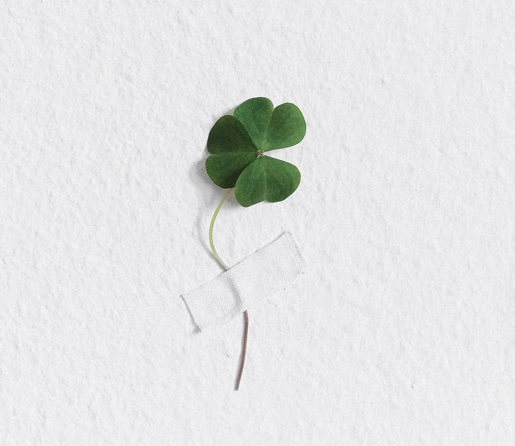 pexels-anna-shvets-3876566 luck, business plan